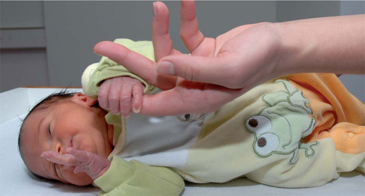 Kinaesthetics Infant Handling